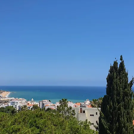 Διαμέρισμα Panoramic View - 160